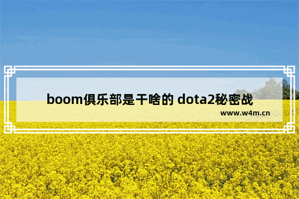 boom俱乐部是干啥的 dota2秘密战队