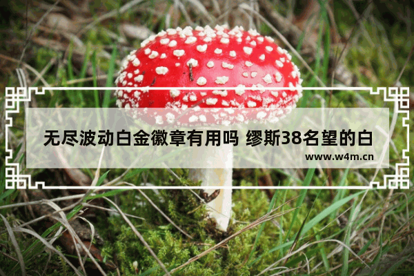 无尽波动白金徽章有用吗 缪斯38名望的白金徽章是账号绑定吗