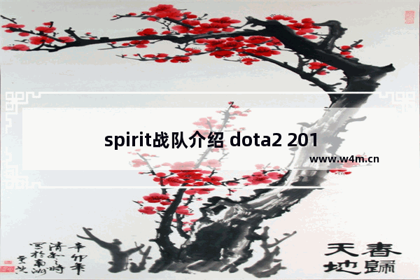 spirit战队介绍 dota2 2014更新