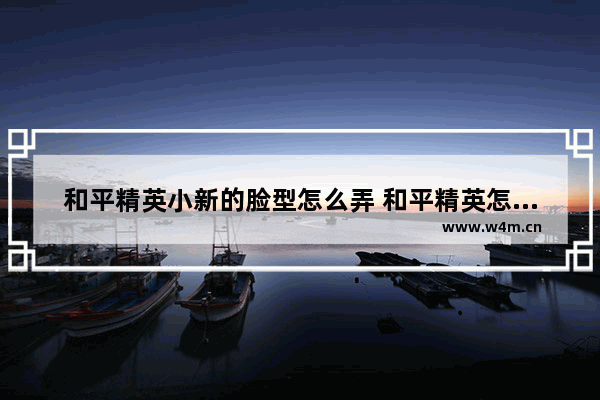 和平精英小新的脸型怎么弄 和平精英怎么脸皮肤