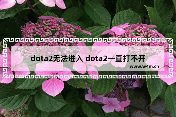 dota2无法进入 dota2一直打不开怎么回事