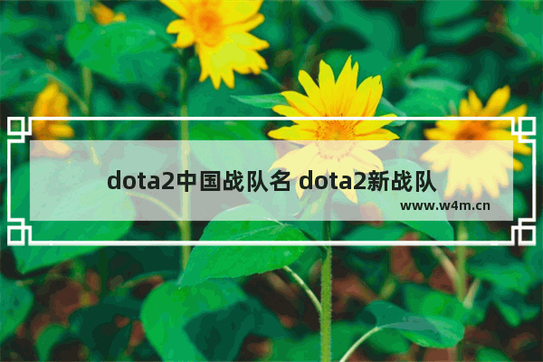 dota2中国战队名 dota2新战队