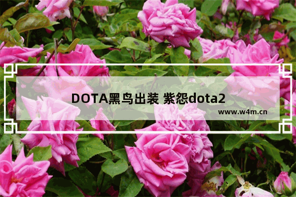 DOTA黑鸟出装 紫怨dota2