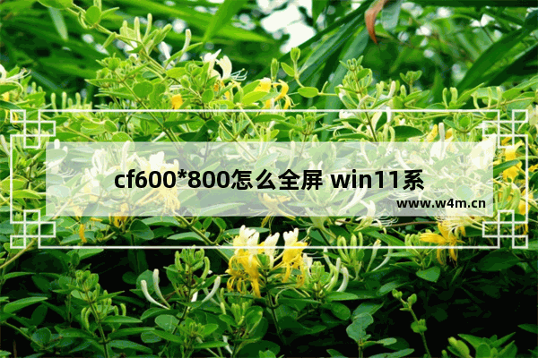 cf600*800怎么全屏 win11系统玩cf怎么全屏