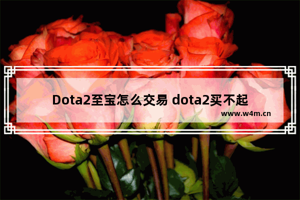 Dota2至宝怎么交易 dota2买不起至宝怎么办