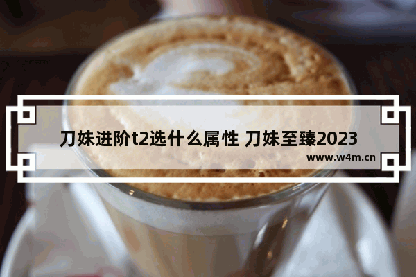 刀妹进阶t2选什么属性 刀妹至臻2023会返场吗