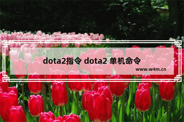 dota2指令 dota2 单机命令