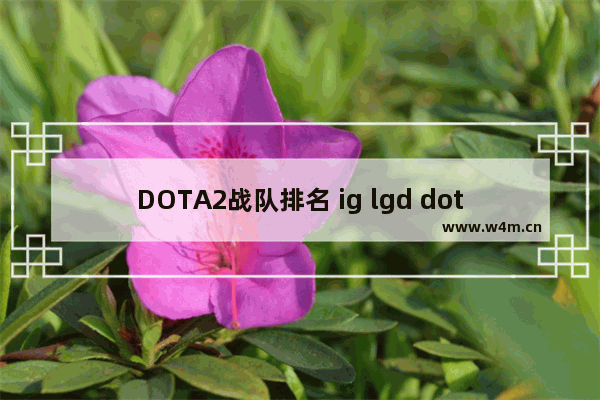 DOTA2战队排名 ig lgd dota2