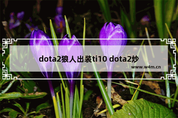 dota2狼人出装ti10 dota2炒什么饰品好