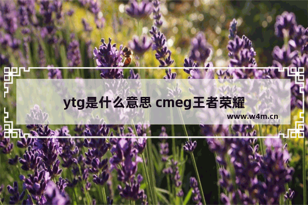 ytg是什么意思 cmeg王者荣耀