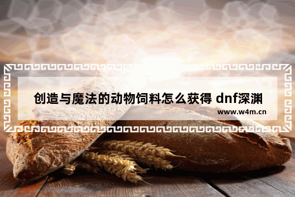 创造与魔法的动物饲料怎么获得 dnf深渊成长助力礼包怎么领取