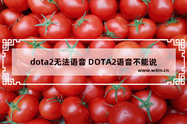 dota2无法语音 DOTA2语音不能说话怎么解决