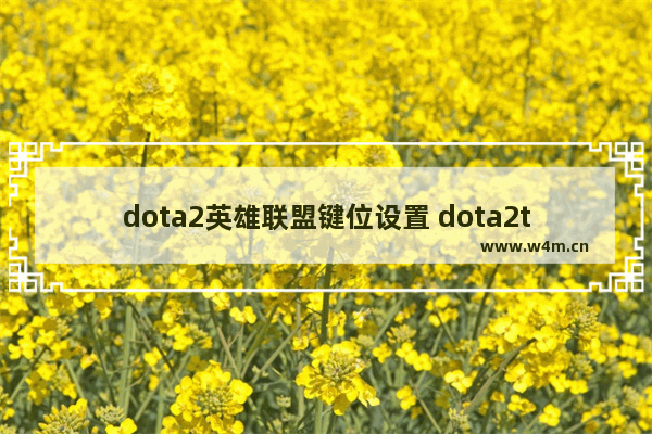 dota2英雄联盟键位设置 dota2tk怎么改键