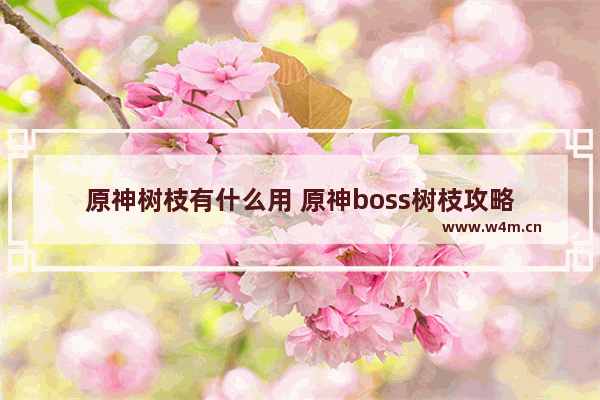 原神树枝有什么用 原神boss树枝攻略