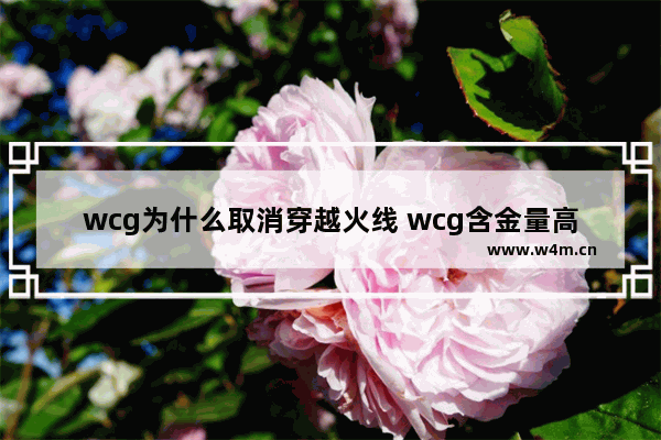 wcg为什么取消穿越火线 wcg含金量高吗