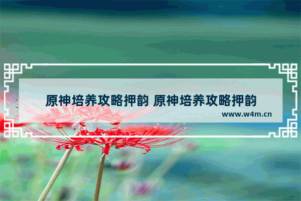 原神培养攻略押韵 原神培养攻略押韵