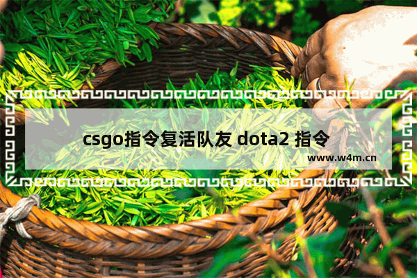 csgo指令复活队友 dota2 指令 复活