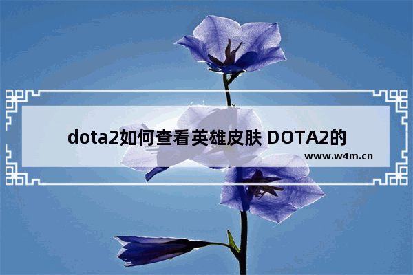 dota2如何查看英雄皮肤 DOTA2的皮肤是怎么得到的