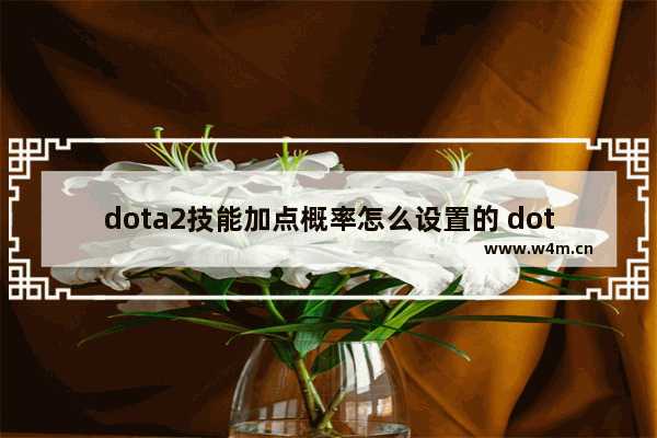 dota2技能加点概率怎么设置的 dota2随机征召是什么