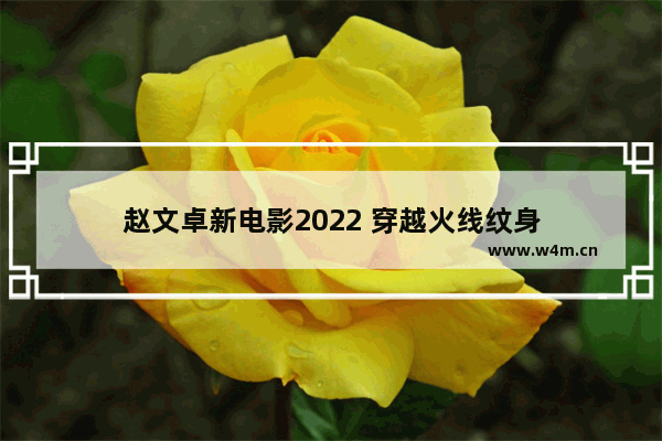 赵文卓新电影2022 穿越火线纹身