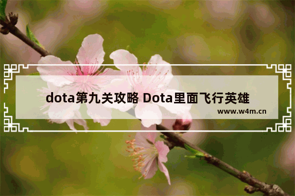 dota第九关攻略 Dota里面飞行英雄有哪些