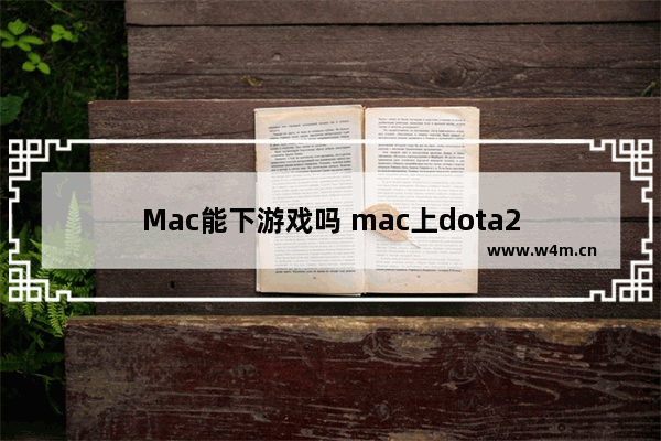 Mac能下游戏吗 mac上dota2