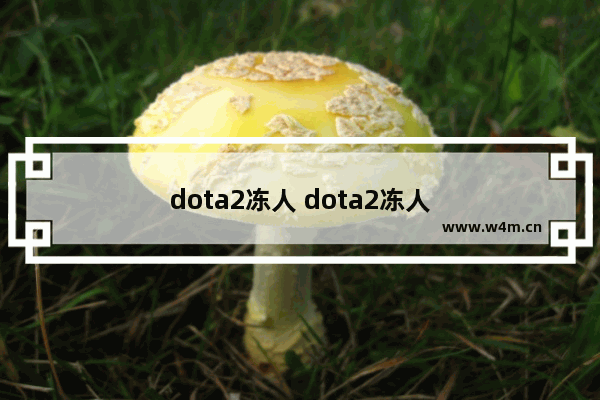 dota2冻人 dota2冻人