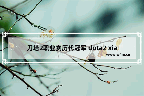 刀塔2职业赛历代冠军 dota2 xiao8