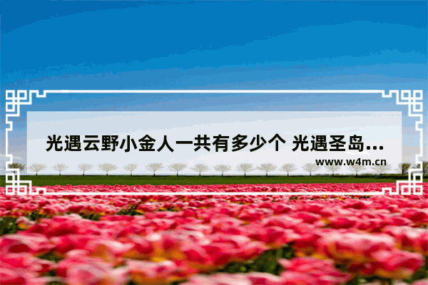 光遇云野小金人一共有多少个 光遇圣岛季几个小金人