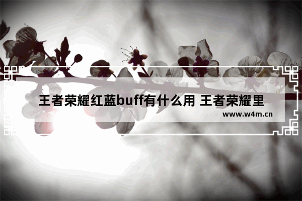 王者荣耀红蓝buff有什么用 王者荣耀里红蓝buff有什么用