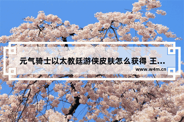 元气骑士以太教廷游侠皮肤怎么获得 王者荣耀教廷