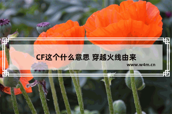 CF这个什么意思 穿越火线由来