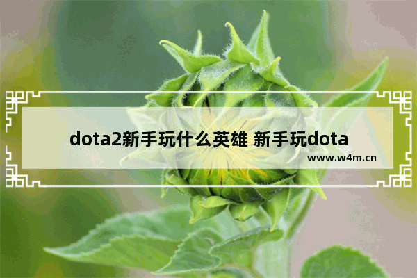 dota2新手玩什么英雄 新手玩dota2英雄