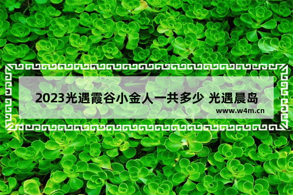 2023光遇霞谷小金人一共多少 光遇晨岛多少个小金人