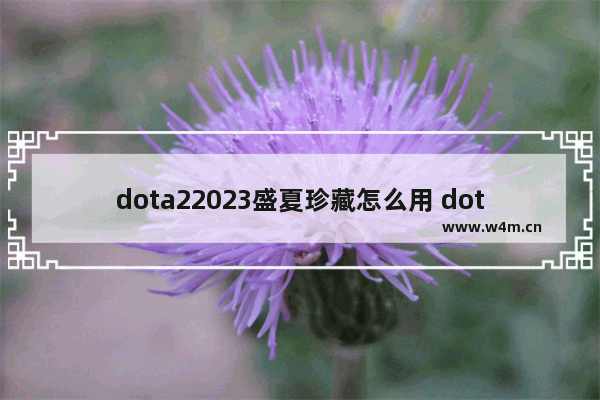 dota22023盛夏珍藏怎么用 dota2 冬季珍藏3