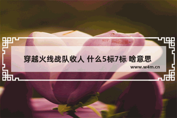 穿越火线战队收人 什么5标7标 啥意思 都是什么 一共几标都什么呀 cf队徽怎么修改