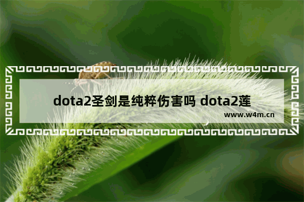 dota2圣剑是纯粹伤害吗 dota2莲花怎么合成奶酪