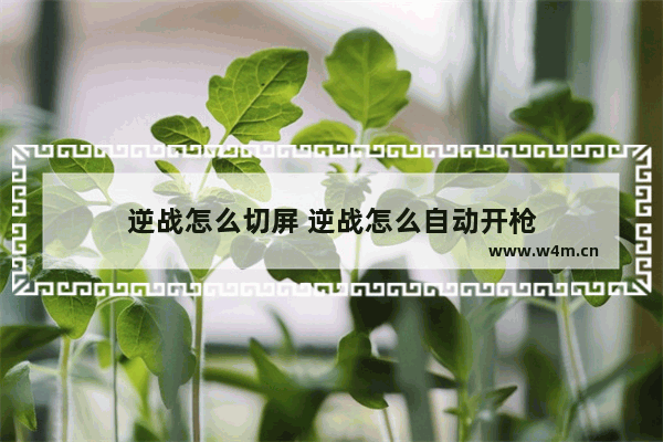 逆战怎么切屏 逆战怎么自动开枪