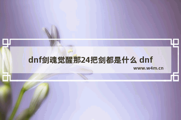 dnf剑魂觉醒那24把剑都是什么 dnf里比较长的太刀有哪些