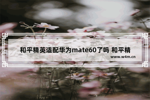 和平精英适配华为mate60了吗 和平精英退出对局后再怎么进去