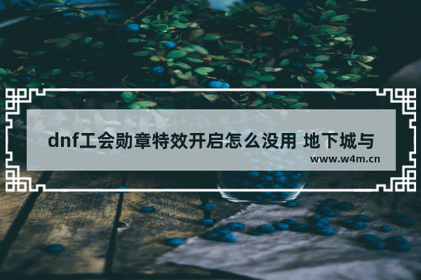 dnf工会勋章特效开启怎么没用 地下城与勇士勋章没有特效