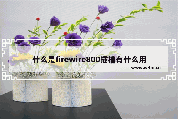 什么是firewire800插槽有什么用 穿越火线商标