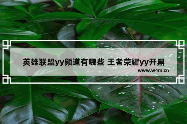 英雄联盟yy频道有哪些 王者荣耀yy开黑频道