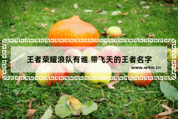 王者荣耀浪队有谁 带飞天的王者名字