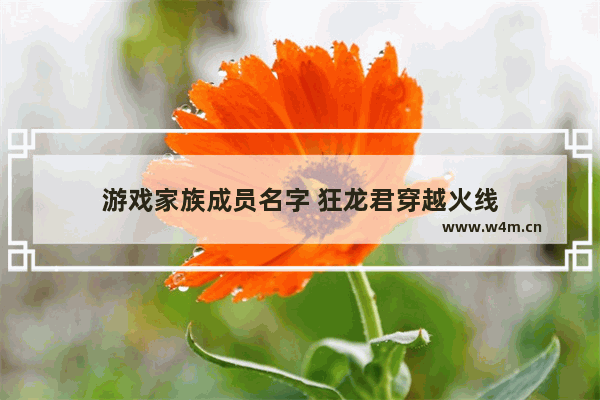 游戏家族成员名字 狂龙君穿越火线