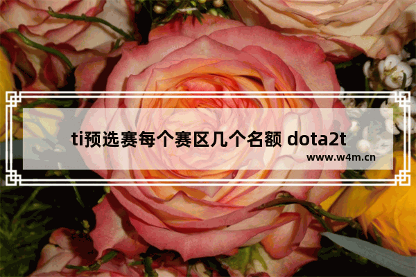 ti预选赛每个赛区几个名额 dota2ti12正赛赛程