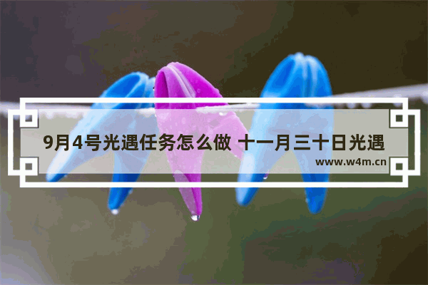 9月4号光遇任务怎么做 十一月三十日光遇每日任务