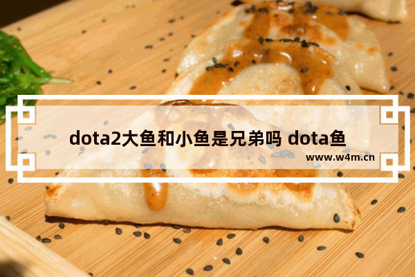 dota2大鱼和小鱼是兄弟吗 dota鱼人夜行者2个问题。1 怎么出装 我出门1药1数1圆盾3树枝 中期先单鞋 在穷鬼 假鞋 魔棒