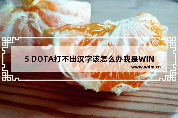 5 DOTA打不出汉字该怎么办我是WIN7的系统 dota2输入法 win8