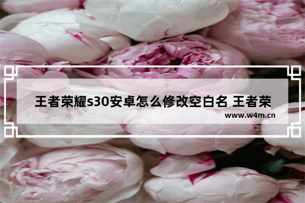 王者荣耀s30安卓怎么修改空白名 王者荣耀空白名字怎么改